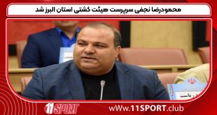 محمودرضا نجفی سرپرست هیئت کشتی استان البرز شد