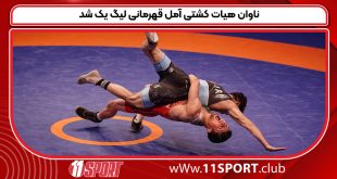 ناوان هیات کشتی آمل قهرمانی لیگ یک شد