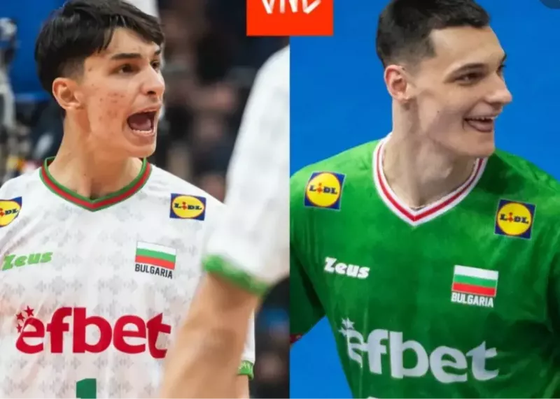 برادران نیکولوف والیبال
