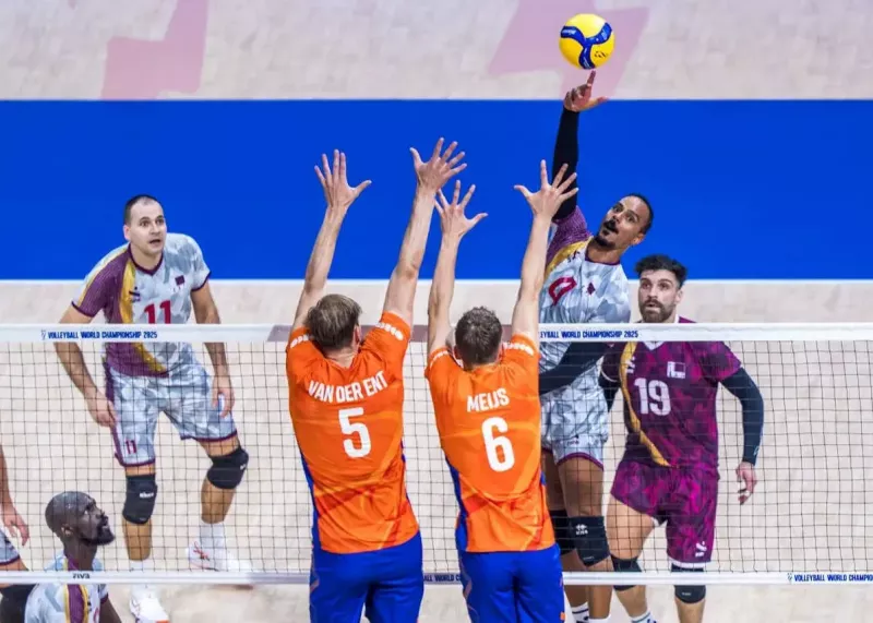 والیبال هلند قطر قهرمانی جهان