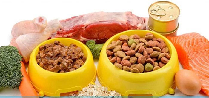 غذای حیوانات خانگی چیست