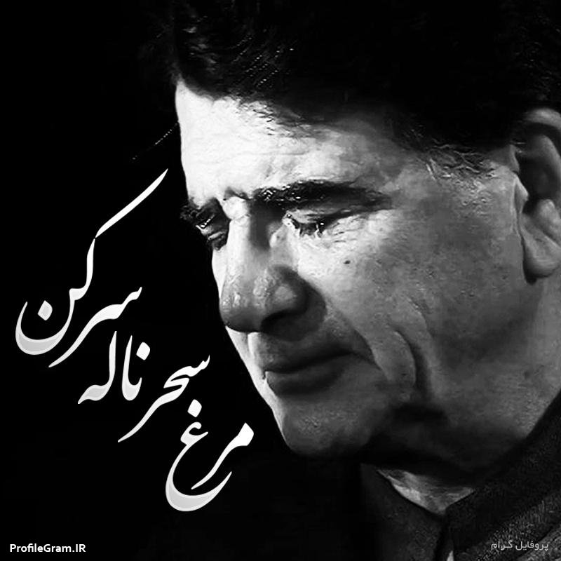 معروفترین آهنگ محمدرضا شجریان معروفترین آهنگ محمدرضا شجریان