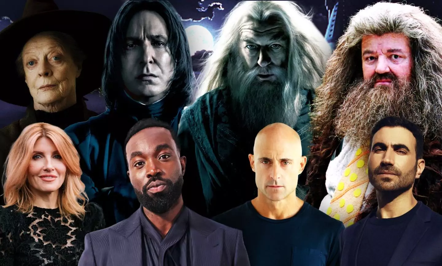 همه چیز درباره سریال ۱۰ ساله هری پاتر همه چیز درباره سریال ۱۰ ساله هری پاتر