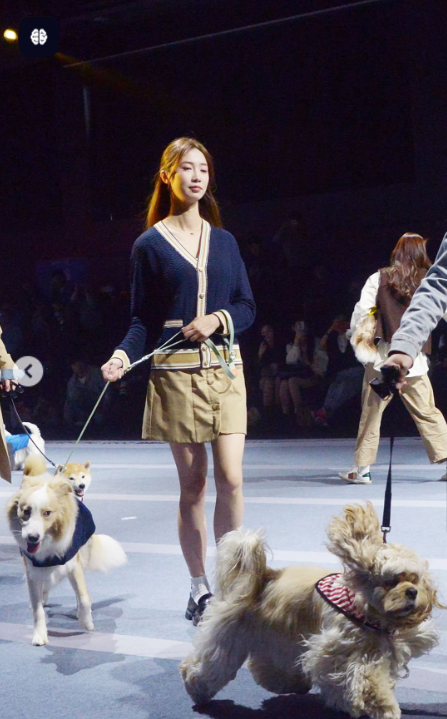 فشنشوی حیوانات در چین ترند شد فشنشوی حیوانات در چین ترند شد