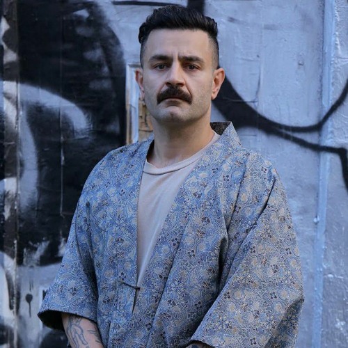 بیوگرافی شاهین نجفی