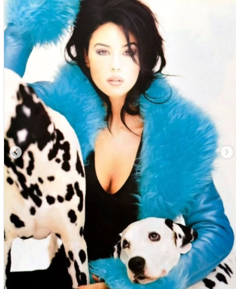 استایل تازه مونیکا بلوچی برای مجله ایتالیایی استایل تازه مونیکا بلوچی برای مجله ایتالیایی